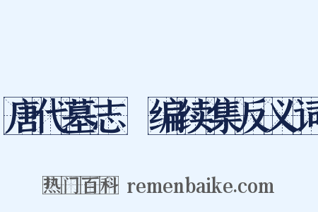 唐代墓志彚编续集反义词是什么意思的图片